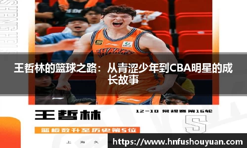 BB贝博登录入口